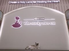 -糯米喵星人·撸猫猫舍咖啡馆(西市场嘉华店)