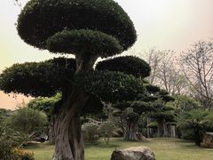 -南宁南湖公园