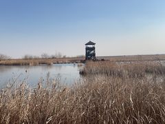 -盐城丹顶鹤湿地生态旅游区