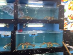 -林記渔村(长安店)