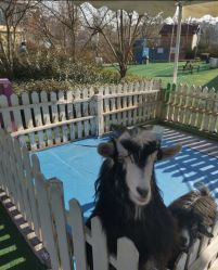 -萌宠亲子动物乐园(槐房万达店)