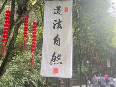 -青城山