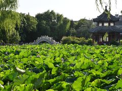 -莲池书院博物馆