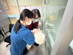 -申普宠物医院·心脏介入·心血管微创(总院)