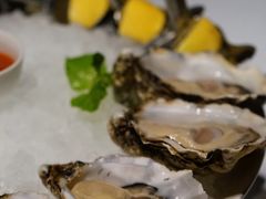 -Oyster Talks 四度蚝法餐厅