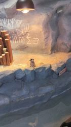 -Zoolung Zoolung动物主题公园(海信广场店)