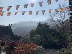 -灵顺寺