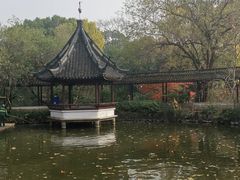-上海醉白池公园