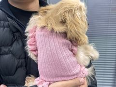 -心仪动物医院·牙专科·肿瘤·心脏科(西客站院)