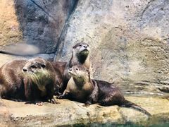 -波塞冬旅游度假区