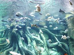 -波塞冬旅游度假区