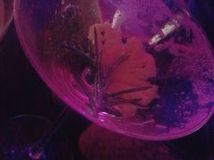 -好久不见网红乐队酒吧(鼓浪屿海底世界店)