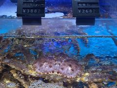 -徐记海鲜(大雁塔|金都店)