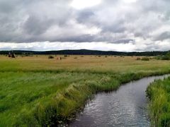 -塞罕坝国家级自然保护区