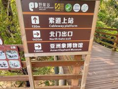 -野象谷景区