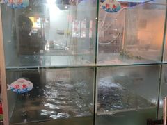 -蛙鱼道美蛙鱼自助火锅(新耍都店)