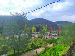 -五龙城郊森林公园