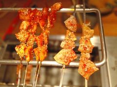 -邢氏老太太烤串(北兴街店)