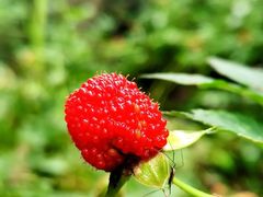 -人民广场-地下停车场