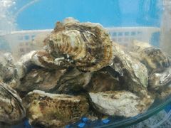 -晓伟海鲜家常菜