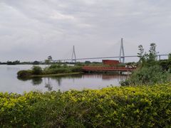 -芒洲湿地公园