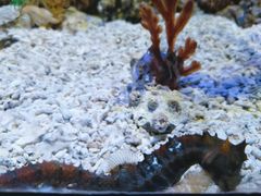 -石林冰雪海洋世界