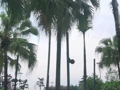 -重庆海昌加勒比海水世界