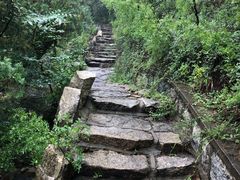 -龙口南山旅游景区