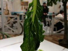 -一盒小幸运