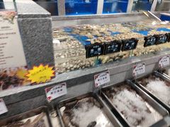 水产区-皇朝海鲜酒店