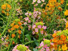 -中国天府农业博览园