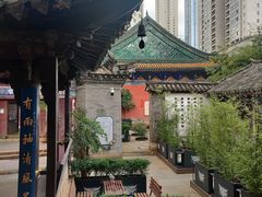 -真庆观