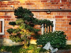-晋江五店市传统文化旅游区