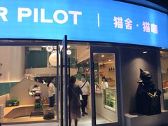 门面-飞行喵MR PILOT|猫舍·猫咖(静安大融城店)