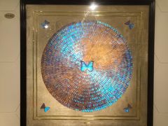 -上海昆虫博物馆