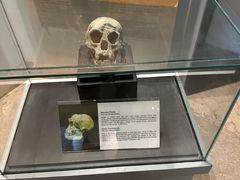 -印尼国家博物馆