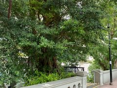 -香港佐治五世纪念公园