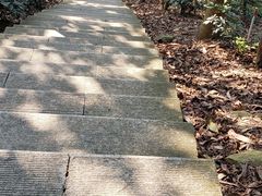 -深圳仙湖植物园-停车场