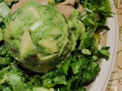 -油梨树AVOCADO TREE(顺义新国展店)