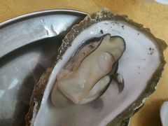 -蚝专家(北滘店)