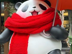 -轩客会(熊猫书店)