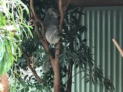 -费瑟代尔野生动物园