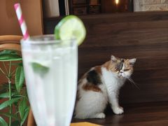 -猫岛主趣味餐厅(鼓浪屿店)