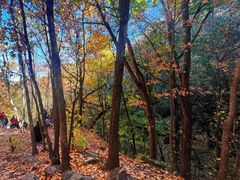 -玉渡山自然风景区