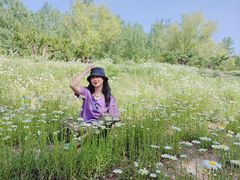 -汉长安城未央宫国家考古遗址公园