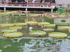 -国家植物园南园