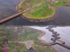 -上海海湾国家森林公园