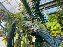 -国家植物园南园