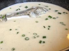 -天正河鲀·河豚亭(大连店)