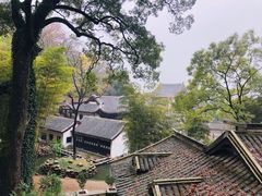 -茶颜悦色(岳麓山顶店)